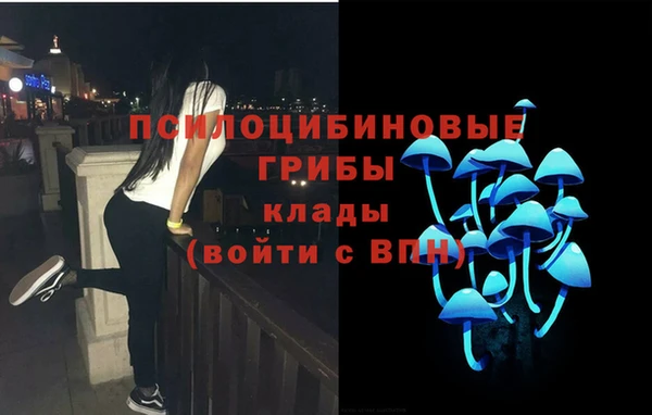 a pvp Алексеевка