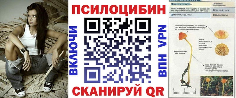 как найти закладки  Пикалёво  Псилоцибиновые грибы MAGIC MUSHROOMS 